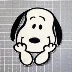 どらみどらみ様 リクエスト 2点 まとめ商品