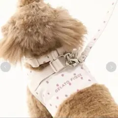 Item thumbnail for item 0f6bc2f3-a65b-46ca-8f67-8883921641bf