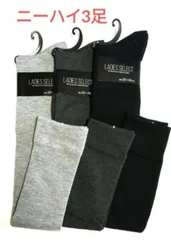 Item thumbnail for item 8e33798a-ac2e-4e42-9f07-c6ec9d1f399e