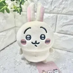 ぽてたま うさぎ