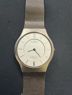 SKAGEN TITANIUM スカーゲン 腕時計 アナログのサムネイル