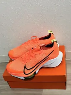 Item thumbnail for item c68b3729-6ca5-4149-bc23-8fe5a5c92984