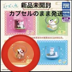 ②ニャンコ先生 四季折々てらりうむ