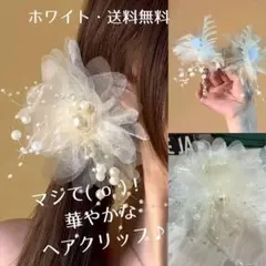 Item thumbnail for item 03e7f284-538f-4445-8e08-bd7f6f6e3173