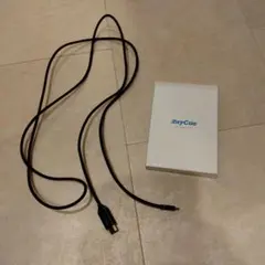 RayCue USB HDMI入力テレビに映像を出力スマートフォンなど