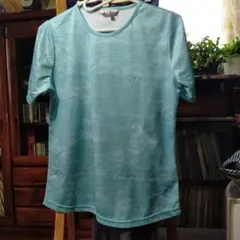 Kaepa ＃高級 Tシャツレディース美品柄入スカイブルー Mサイズお洒落なロゴ