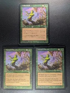 MTG 地に平穏 / Tranquil Domain MIR 英語 4枚 - メルカリ