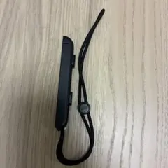 Nintendo Switch ジョイコンストラップ　(2本セット売り可)