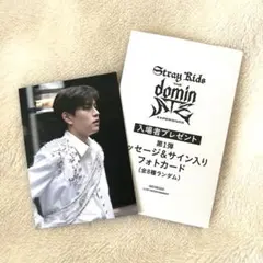 StrayKids 映画 dominATE 入場特典 スンミン カード