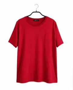 【未着用品】STUNNING LURE　スタニングルアー 半袖Tシャツ サンプルのサムネイル