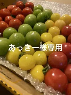 あっきー様専用です