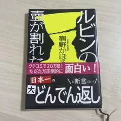 ルビンの壺が割れた　宿野かほる　小説