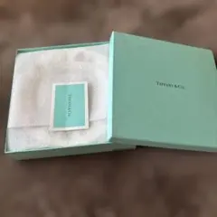 新品[TIFFANY & Co.] ティファニー シルバージュエリー ケアキット