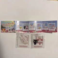 サンリオキャラクターズ　はいっ！ポーズ！キーホルダー2 2個セット
