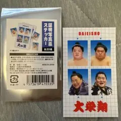 大相撲　証明写真風ステッカー　vol.1 大栄翔