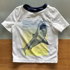 OLD NAVY サメラッシュガード 12-18M