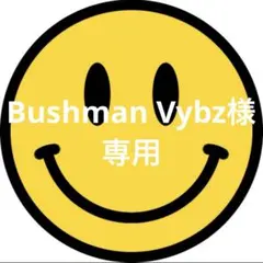 ✴︎Bushman Vybz様専用✴︎