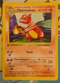 2026年最新】リザードン 25th 英語の人気アイテム - メルカリ