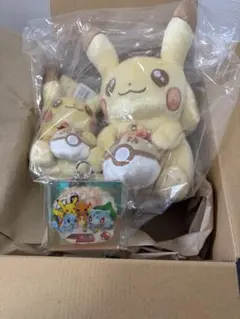ポケモンセンター 英国自然史博物館 コラボ ピカチュウ ぬいぐるみ