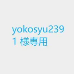 yokosyu2391 様専用