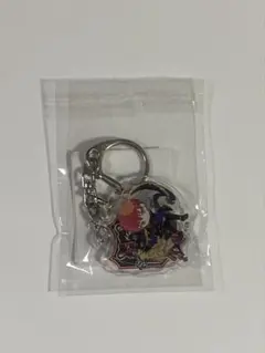 Crazy Raccoon CPT アクリルキーホルダー