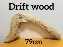 Item thumbnail for item a988e4cf-0abd-4733-8ad5-a1936185c9dd