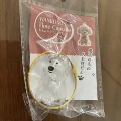 けだまだま　わんこのタイムカプセル 犬型カプセル