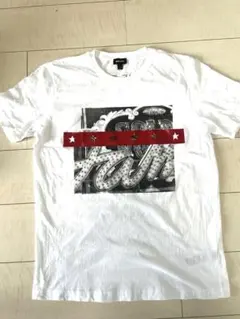 DIESEL ディーゼル　ヴィンテージ フォトTシャツ Lサイズ　白