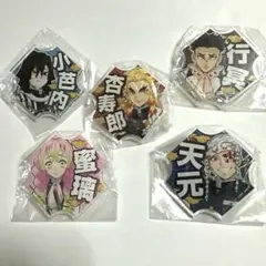 新品　鬼滅の刃アクリルバッジセット 5個