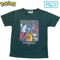 新品　ポケモン　メガシンカ　Tシャツ 120 メッシュ素材 グリーン