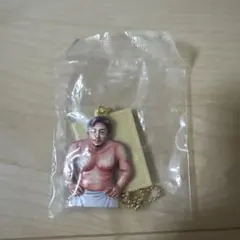 【 カプセル説明書なし 】 体格ブラザーズ アクリルキーホルダー ガチャ