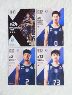 Item thumbnail for item ce1d6173-e61b-4dc3-af49-d4e7b1a0c049