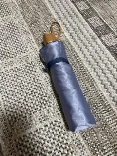 Item thumbnail for item 17975ca5-8297-4f80-9b4c-9f236f08516b