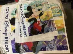 新品　ディズニーリゾート　ギフト袋　30枚