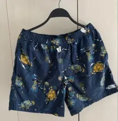 ノースフェイス Novelty Versatile Short NB41852