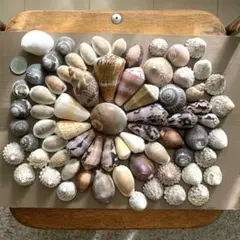 Item thumbnail for item 10643faf-dcad-4b3f-84fd-7769bc88844e