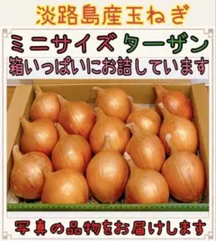 ⑳淡路島産玉ねぎ ターザンのサムネイル