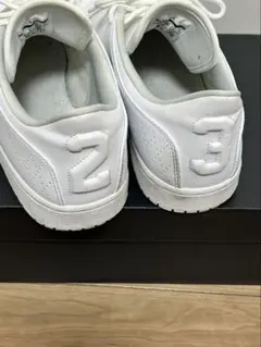 JORDAN 1 FLIGHT 5 LOW