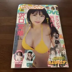 Item thumbnail for item 3b279174-32b5-4cc3-8d70-785d703204ea