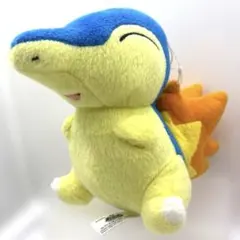 ポケモン ポケットモンスター コレクションぬいぐるみ 2009 ヒノアラシ