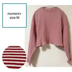 moment+ 綿 ストレッチ リブ ボーダー ショー丈 tee Mのサムネイル