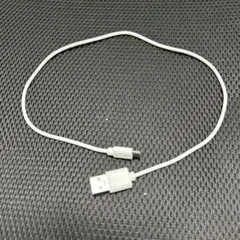 USB×Type-Bケーブル　長さ約50cm