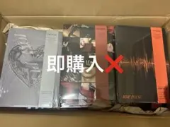 TREASURE LOVEPULSE アルバム 3枚セット