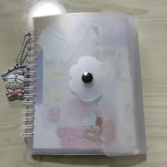 ❤24時間以内発送❤　サンリオ　おすそわけファイル♡（100枚↑）