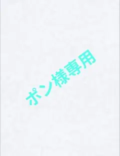 ポン様 リクエスト 2点 まとめ商品