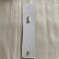 Apple pencil ペン先 アダプタ