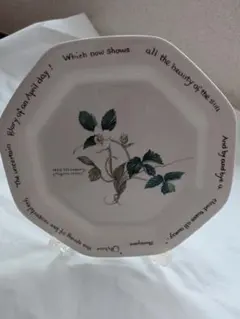 Noritake エディットホールデン プレート 皿 野いちご　レトロ　ノリタケ