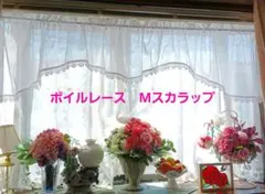 Item thumbnail for item e9c2f8a2-0b12-46ac-a5a6-5872b784c1f4