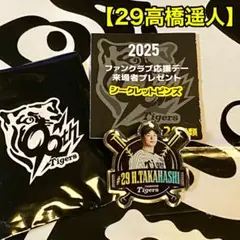 阪神タイガース／FC限定2025ファンクラブ応援デーピンズ【29高橋遥人】新品