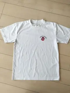 Item thumbnail for item 05dc7f77-4388-4e9c-90a8-bea345284438